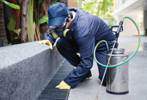pest control